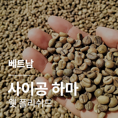 베트남 로부스타 G1 사이공 하마 웻 폴리쉬드