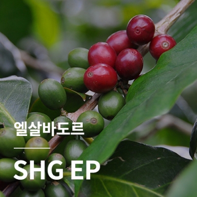 엘살바도르 SHG EP &middot; 2월세일