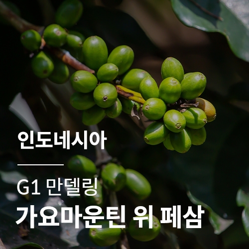 인도네시아 G1 만델링 가요마운틴 위 페삼