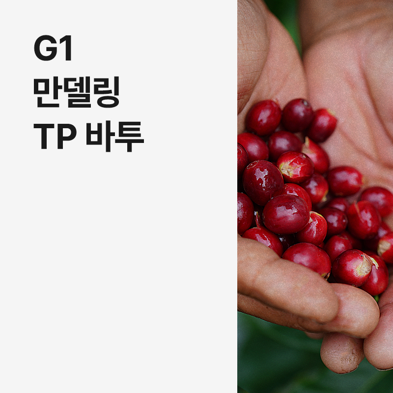 인도네시아 G1 만델링 TP 바투