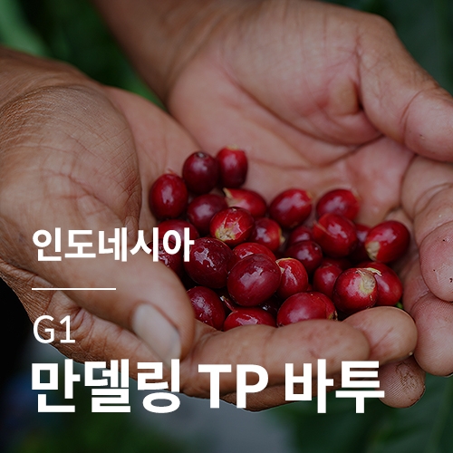 인도네시아 G1 만델링 TP 바투 &middot; 새해감사세일
