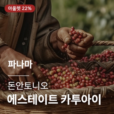 [파나마] SHB 돈안토니오 에스테이트 카투아이 (Grain Pro)☆아울렛☆