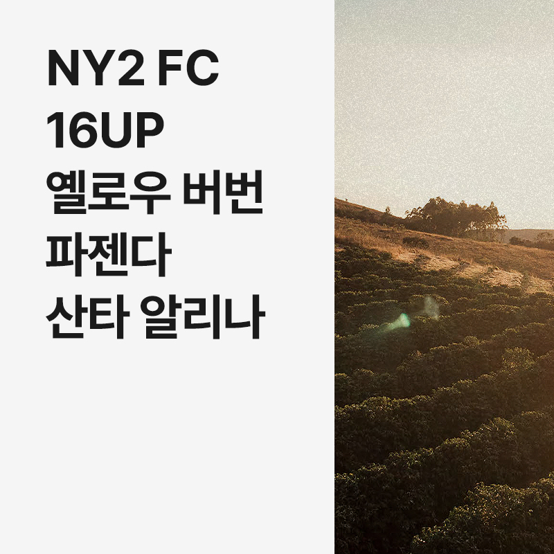 브라질 NY2 FC 16up 옐로우 버번 파젠다 산타 알리나 펄프드 내추럴