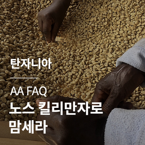[탄자니아] AA FAQ 노스 킬리만자로 맘세라