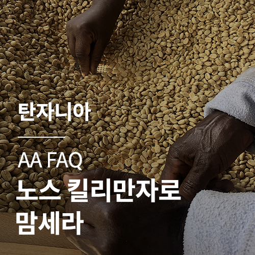 [탄자니아] AA FAQ 노스 킬리만자로 맘세라