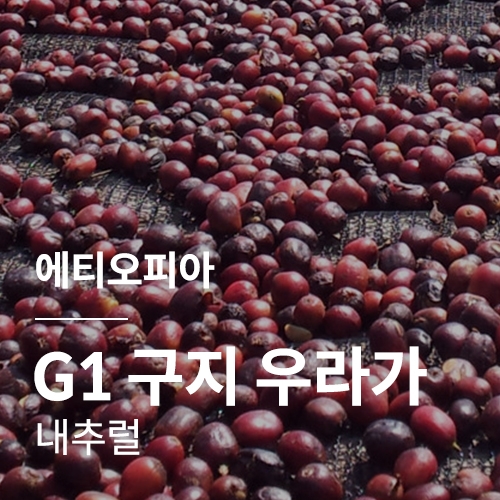 에티오피아 G1 구지 우라가 내추럴