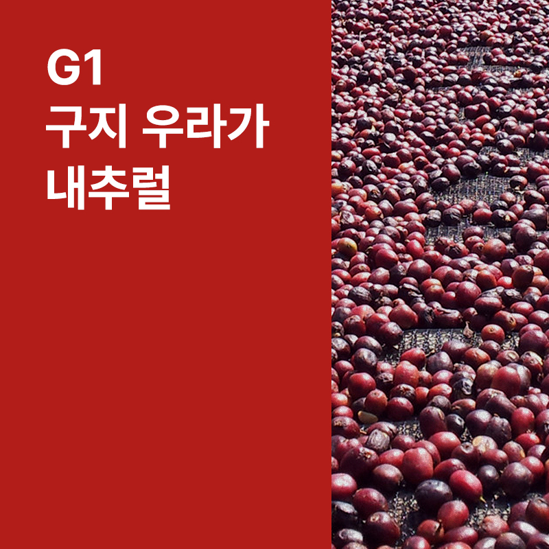 에티오피아 G1 구지 우라가 내추럴