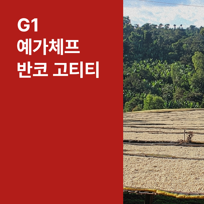 에티오피아 G1 예가체프 반코 고티티 워시드