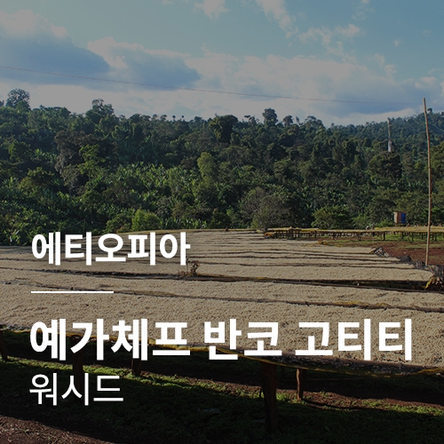 에티오피아 G1 예가체프 반코 고티티 워시드 · 4월세일