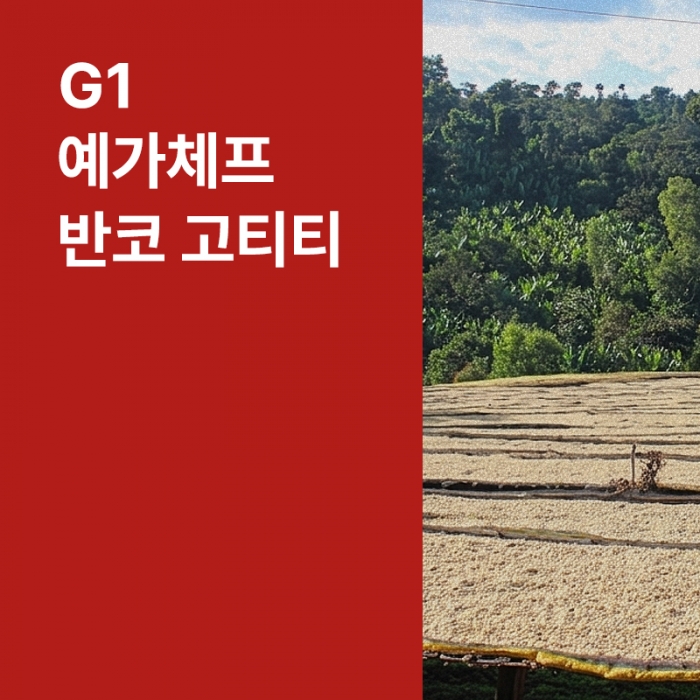 에티오피아 G1 예가체프 반코 고티티 워시드