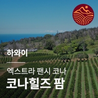 하와이 엑스트라 팬시 코나 코나힐즈 팜
