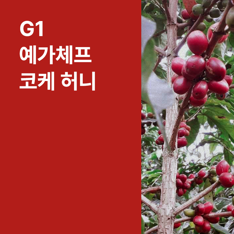 에티오피아 G1 예가체프 코케 허니 내추럴