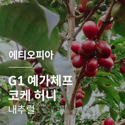 에티오피아 G1 예가체프 코케 허니 내추럴