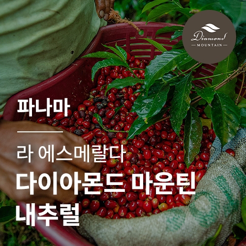 [파나마] [라 에스메랄다] 다이아몬드 마운틴 내추럴