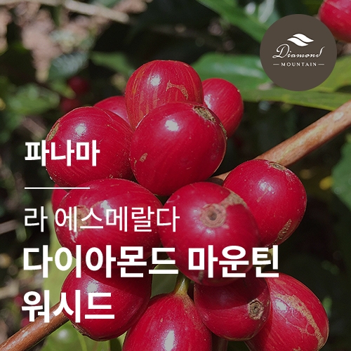 [파나마] [라 에스메랄다] 다이아몬드 마운틴 워시드