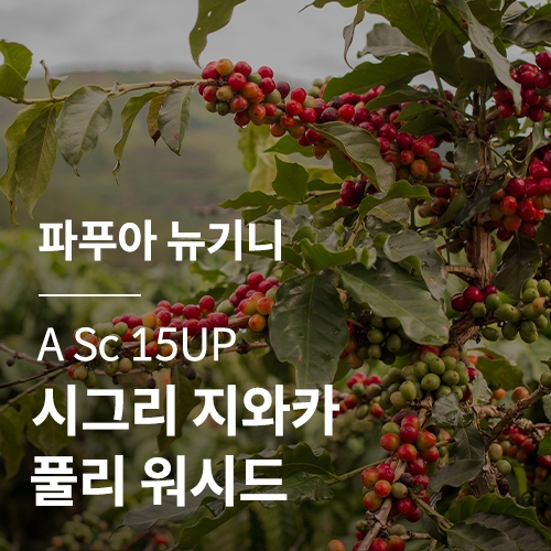 [파푸아 뉴기니] A 시그리 지와카 풀리 워시드