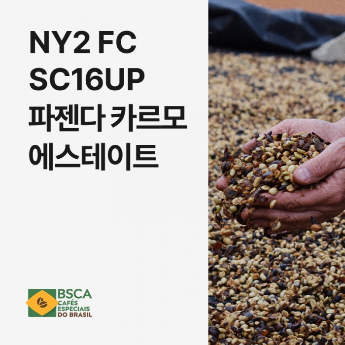 브라질 NY2 FC SC16UP 파젠다 카르모 에스테이트 내추럴 BSCA Certified