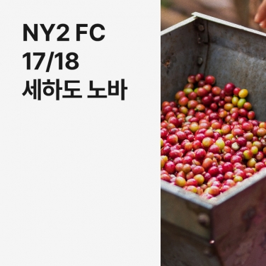 브라질 NY2 FC 17/18 세하도 노바 펄프드 내추럴