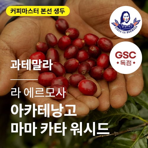 과테말라 라 에르모사 SHB EP 아카테낭고 마마 카타 워시드