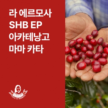과테말라 라 에르모사 SHB EP 아카테낭고 마마 카타 워시드