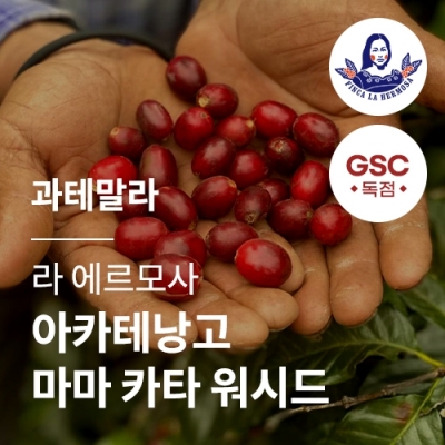과테말라 라 에르모사 SHB EP 아카테낭고 마마 카타 워시드 &middot; 6월세일