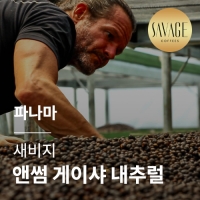 [파나마] [새비지] 앤썸 게이샤 내추럴