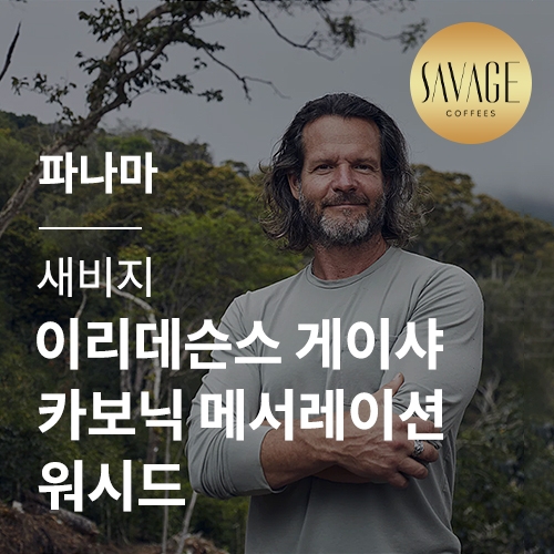 [파나마] [새비지] 이리데슨스 게이샤 카보닉 메서레이션 워시드☆아울렛☆