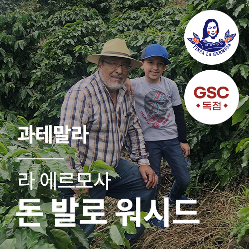 [과테말라] [라 에르모사] SHB EP 돈 발로 워시드