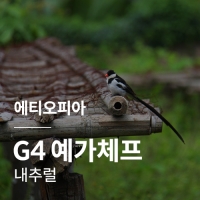 [에티오피아] G4 예가체프 내추럴