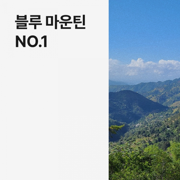 자메이카 블루 마운틴 No.1