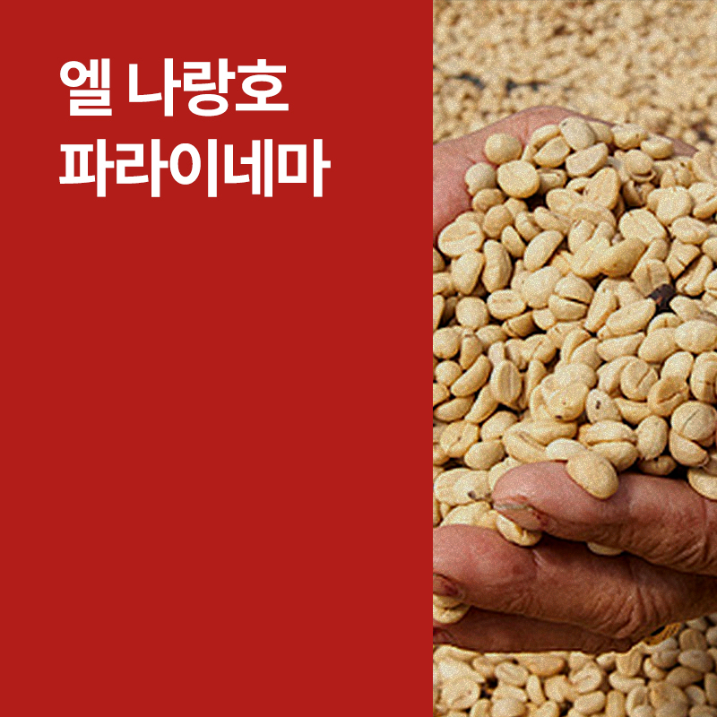 온두라스 엘 나랑호 파라이네마 워시드