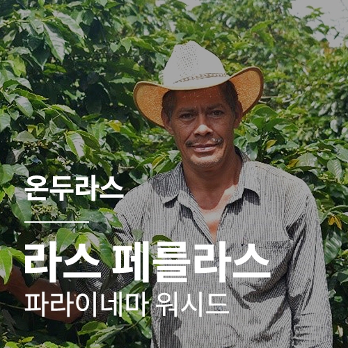 온두라스 라스 페를라스 파라이네마 워시드