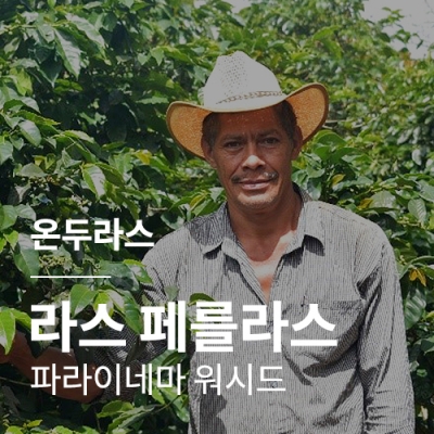 [온두라스] 라스 페를라스 파라이네마 워시드