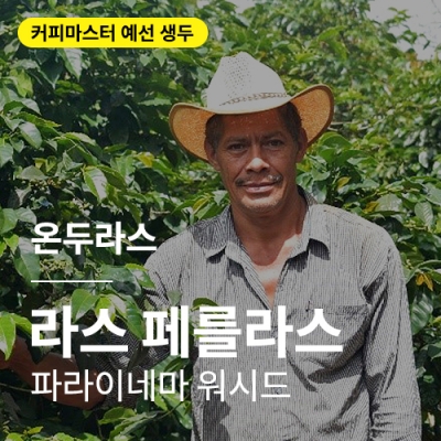 [온두라스] 라스 페를라스 파라이네마 워시드 &middot; 예선생두