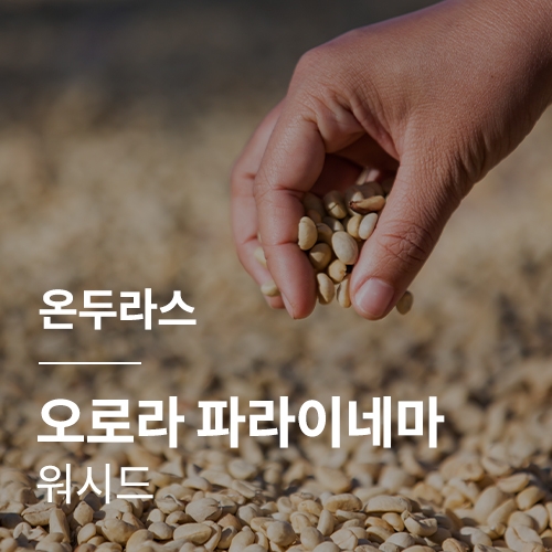 온두라스 오로라 파라이네마 워시드