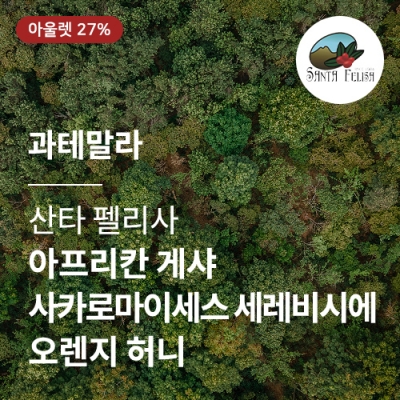 [과테말라] [산타 펠리사] SHB EP 아프리칸 게샤 사카로마이세스 세레비시에 오렌지 허니☆아울렛☆