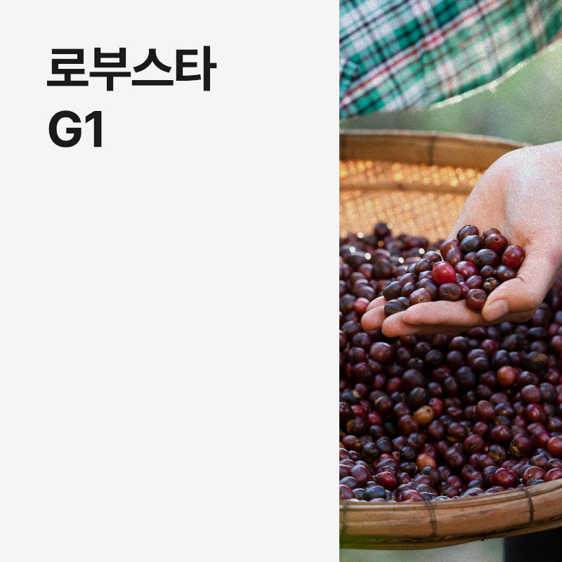 베트남 로부스타 G1 폴리쉬드 · 8월세일