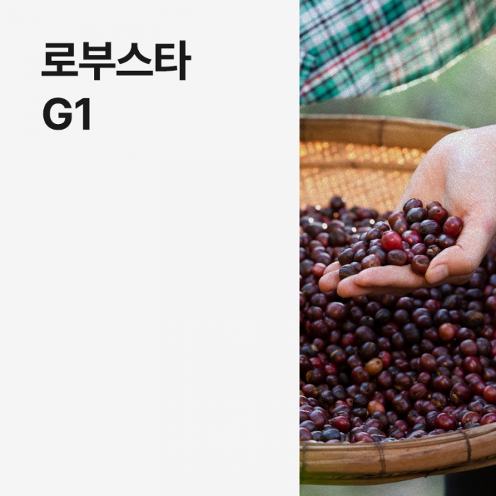 베트남 로부스타 G1 폴리쉬드 &middot; 9월세일