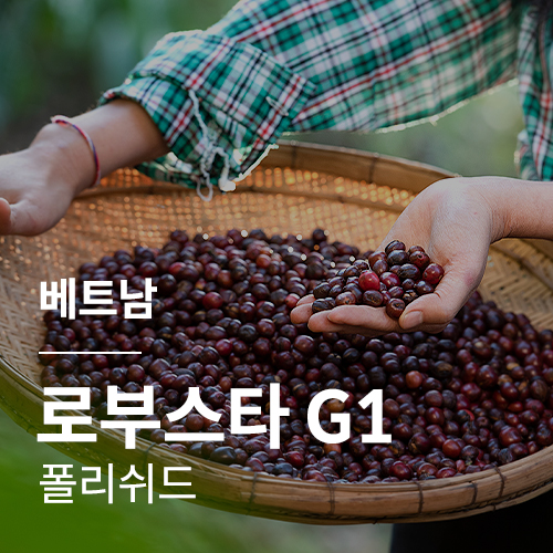 [베트남] 로부스타 G1 폴리쉬드🧊COOL세일