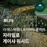 [파나마] [라 에스메랄다] 프라이빗 콜렉션 자라밀로 게이샤 워시드★SALE★