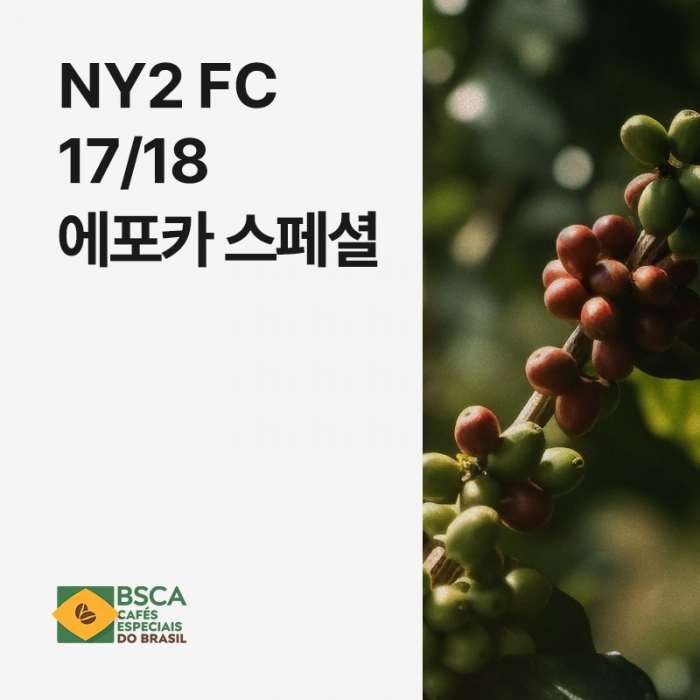 브라질 NY2 FC 17/18 에포카 스페셜 내추럴 BSCA certified