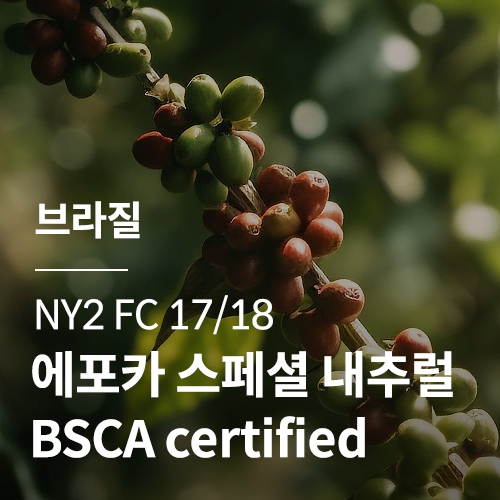 브라질 NY2 FC 17/18 에포카 스페셜 내추럴 BSCA certified