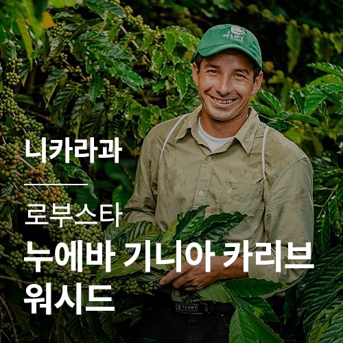 [니카라과] 로부스타 누에바 기니아 카리브 워시드 · 어텀세일