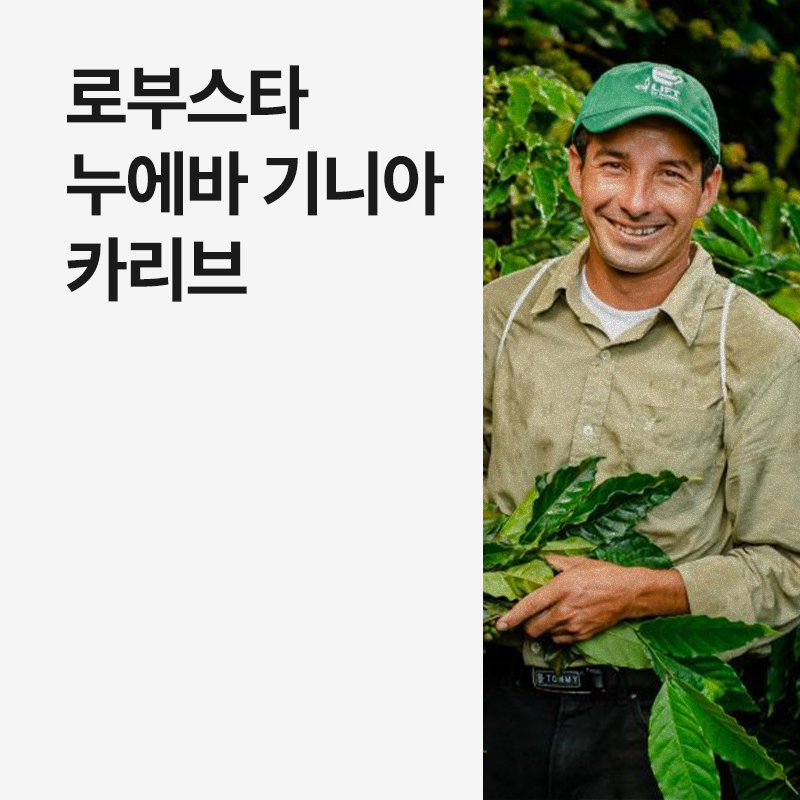 니카라과 로부스타 누에바 기니아 카리브 워시드