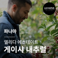 [파나마] [엘리다 에스테이트] 게이샤 내추럴☆아울렛☆