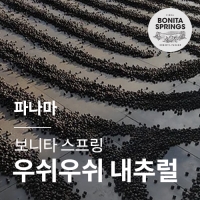 [파나마] [보니타스프링] 우쉬우쉬 내추럴☆아울렛☆