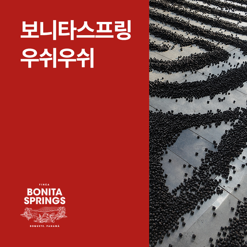 파나마 보니타스프링 우쉬우쉬 내추럴 &middot; 아울렛