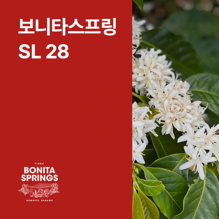 파나마 보니타스프링 SL 28 내추럴 &middot; 아울렛