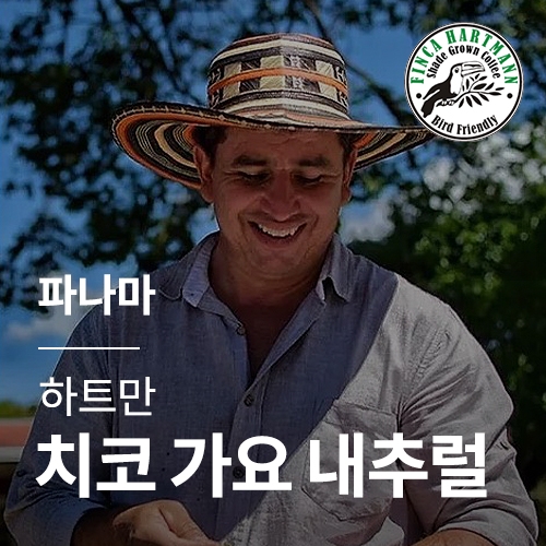 [파나마] [하트만] 치코 가요 내추럴☆아울렛☆
