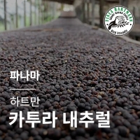 [파나마] [하트만] 카투라 내추럴